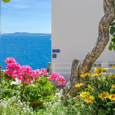 Family Friendly With A Swimming Pool Businci, Ciovo - 11232 Lejlighed *