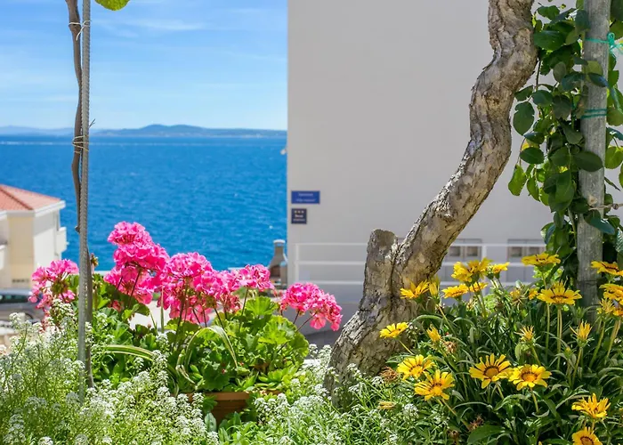 Family Friendly Apartments With A Swimming Pool Businci, Ciovo - 11232 Apartment *